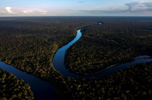 Brasil é o segundo país mais perigoso do mundo para ativistas ambientais, aponta Transparência Internacional