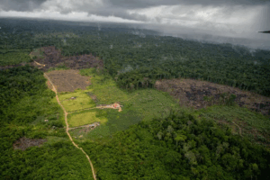 Desmatamento na Amazônia sobe 17,8% entre agosto e março; incêndios fazem degradação aumentar em 329%