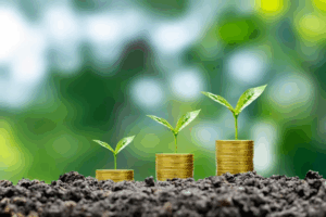 Economia verde pode alavancar US$ 11 trilhões até 2040, revela BCG
