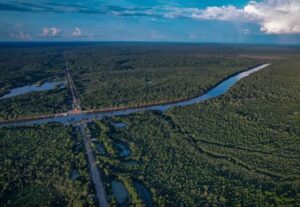 Brasil registra menor área desmatada em seis anos, segundo MapBiomas