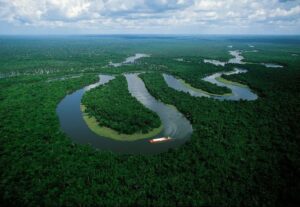 No Dia Mundial do Meio Ambiente, Governo do Brasil ressalta avanços conquistados pelo país desde 2023