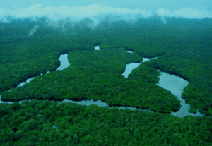 Dados do Deter indicam redução dos alertas de desmatamento na Amazônia e no Cerrado no intervalo de 2025-2026