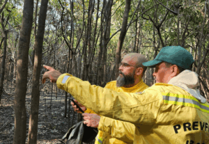 Manejo do Fogo: entenda os conceitos da lei que fortalece a prevenção e o controle de incêndios florestais