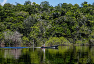 Sessão informativa sobre edital de apoio a iniciativas em territórios da Amazônia Legal ocorre nesta quinta (20)