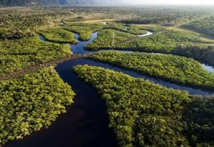 Em celebração ao Dia da Amazônia, decretos criam quatro reservas no Amazonas e ampliam parque nacional no Piauí