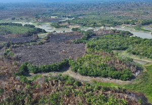 17 unidades da Federação indicam áreas prioritárias para prevenção e combate aos incêndios florestais