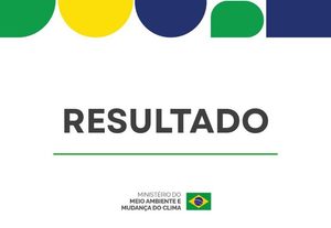 Processo seletivo define novos representantes para a CONAREDD+