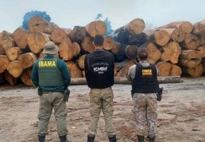 Brasil lidera avanço internacional contra crimes ambientais