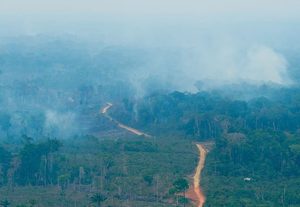 MMA e Fiocruz ampliam monitoramento da qualidade do ar na Amazônia e disponibilizam dados em tempo real para Manaus